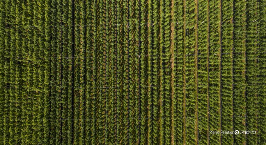 Agro-Alimentaire, COMMERCIALE, Google, PHOTO-DRONE, Pierre Pelletierl, Publicitaire, industrielle, photographe-professionnel-a-quebec, photographie-commerciale, photographie-publicitaire