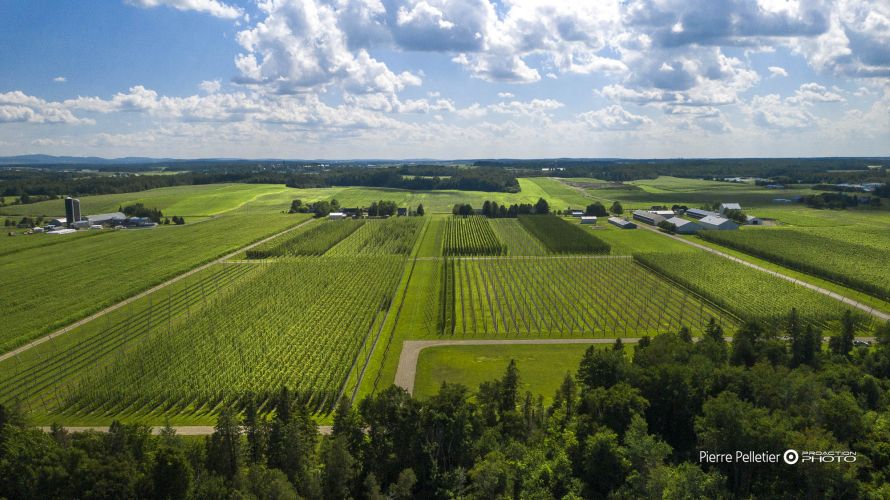 Agro-Alimentaire, COMMERCIALE, PHOTO-DRONE, Publicitaire, industrielle